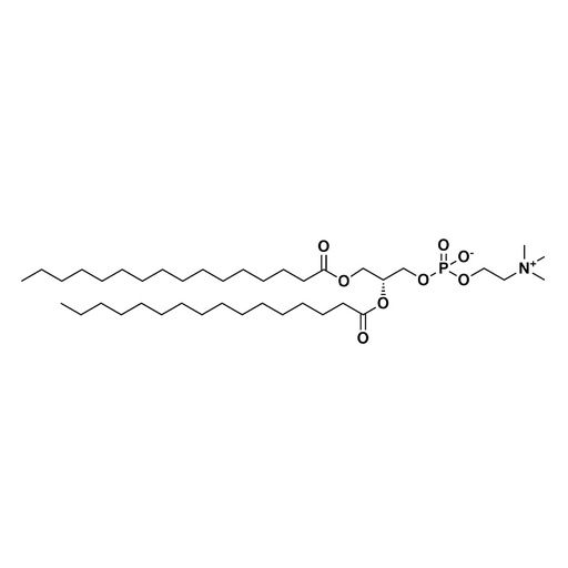 [26449-250] DPPC- Dipalmitoylphosphatidylcholine - 250mg