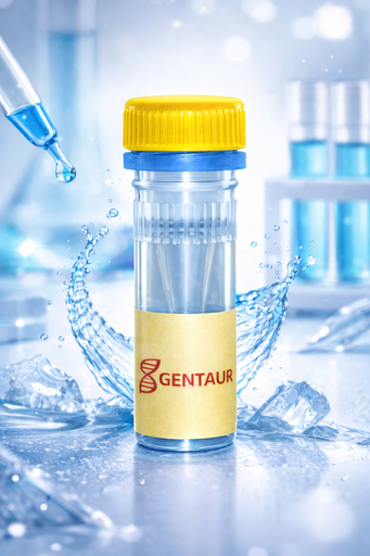 [SK1651] Nicotinamide Adenine Dinucleotide Phosphate Disodium Salt (NADP-Na2)