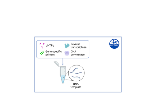 [VS-​NCO2] RT PCR Test Kits  SARS-CoV-2