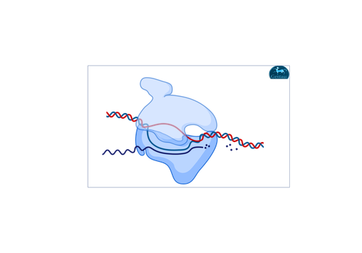 [MBT060E-​1000U] Taq Polymerase 